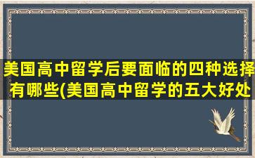 美国高中留学后要面临的四种选择有哪些(美国高中留学的五大好处 带你一次全了解)